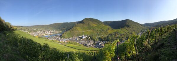 Ticket für Weinberg-Wanderung